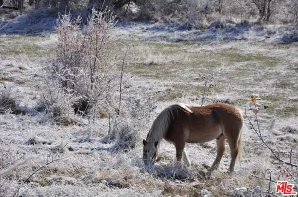 Other - See Remarks, 0,1005 NYNFEO FLORINA GREECE