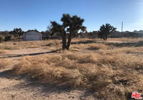 Yucca Valley, CA 92284,57215 Buena Vista Road