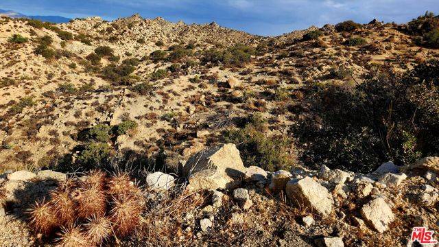 Yucca Valley, CA 92284,10 W Omega Trail