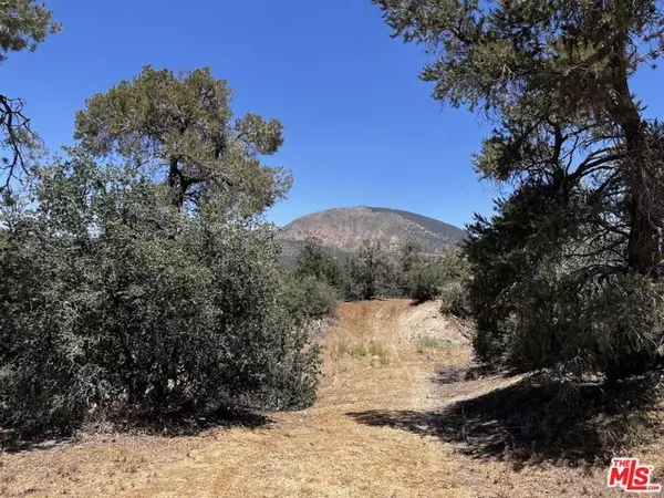 11501 Appaloosa Road, Tehachapi, CA 93561