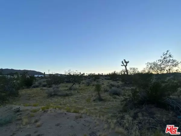 Joshua Tree, CA 92252,0 Saddleback Road