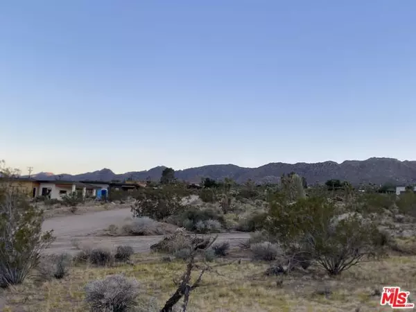 Joshua Tree, CA 92252,0 Saddleback Road