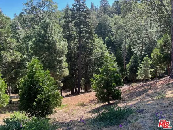 197 MILL POND Road, Lake Arrowhead, CA 92352