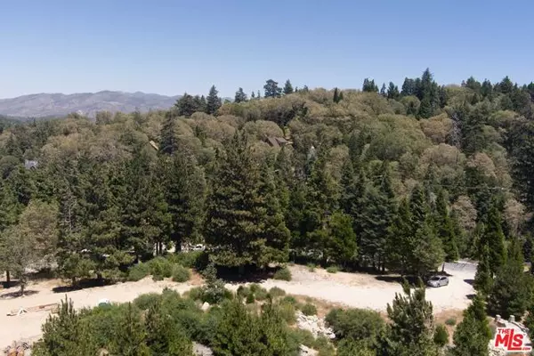 Lake Arrowhead, CA 92352,188 Mill Pond Road