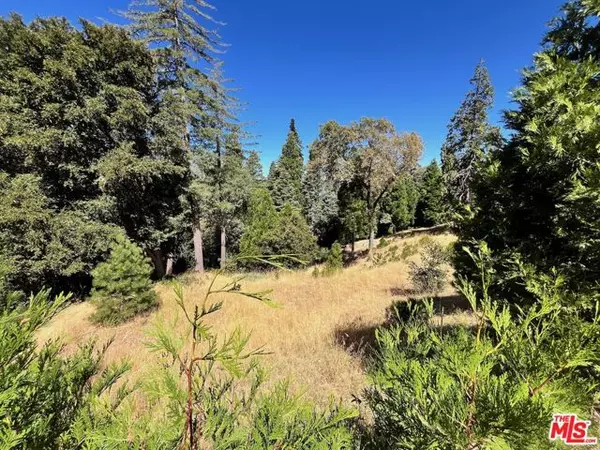 284 Hidden Forest Road, Lake Arrowhead, CA 92352