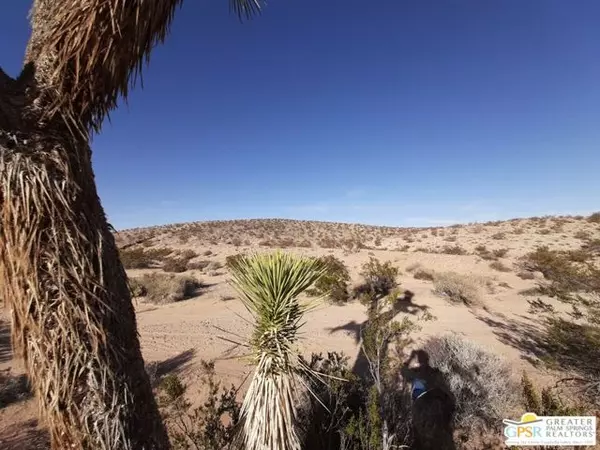 Joshua Tree, CA 92252,0 Mt Nebo Road