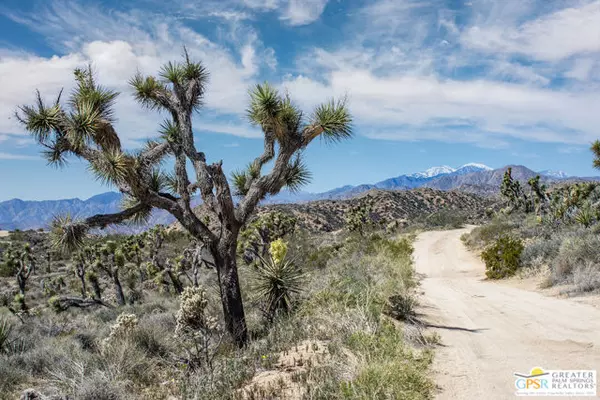 Yucca Valley, CA 92284,0 SAN JACINTO Road