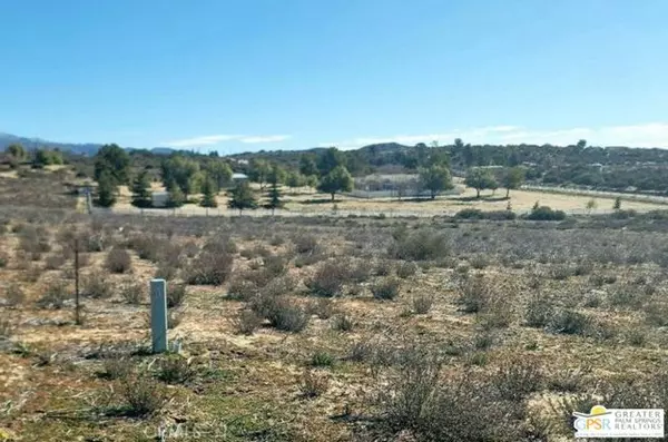 Anza, CA 92539,0 Spanish Dagger