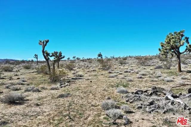 0 Rice Avenue, Joshua Tree, CA 92252