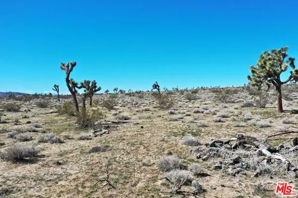 0 Rice Avenue, Joshua Tree, CA 92252