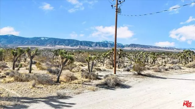 Pinon Hills, CA 92372,0 Vic