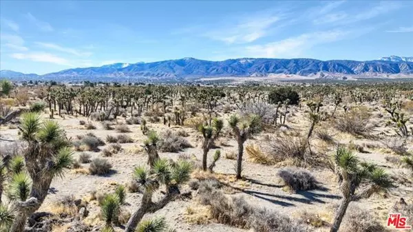 Pinon Hills, CA 92372,0 Vic