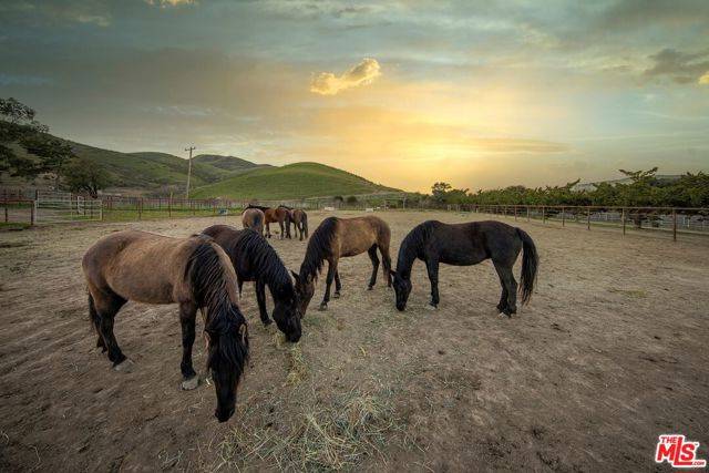 Lompoc, CA 93436,4115 Jalama Road