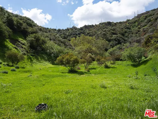 Encino (los Angeles), CA 91436,3423 Standish Drive