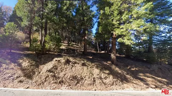 Cedar Glen, CA 92321,0 Ponderosa Drive