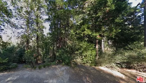 Cedar Glen, CA 92321,0 Ponderosa Drive