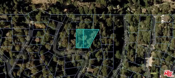 Lake Arrowhead, CA 92352,0 Community Drive
