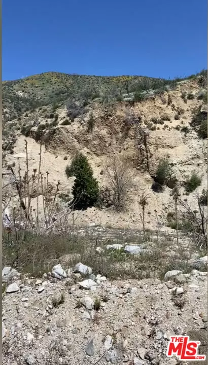 Other - See Remarks, CA 93532,0 Pine Canyon Road