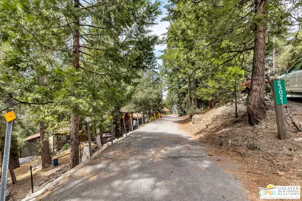 Idyllwild, CA 92549,23031 Pine Needles Lane