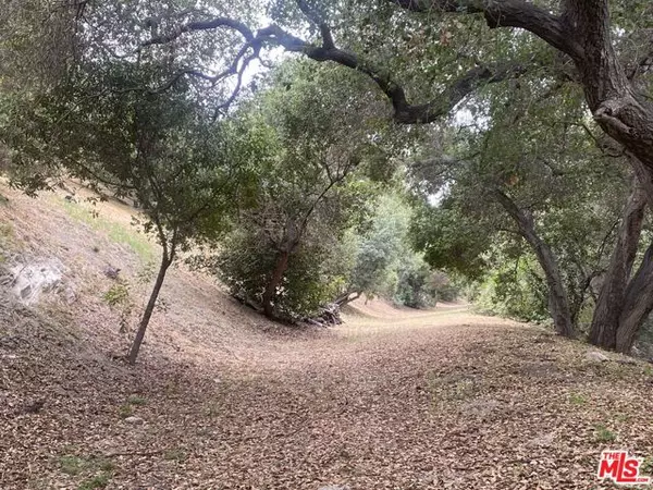 Sherman Oaks (los Angeles), CA 91423,3806 N Glenridge Drive