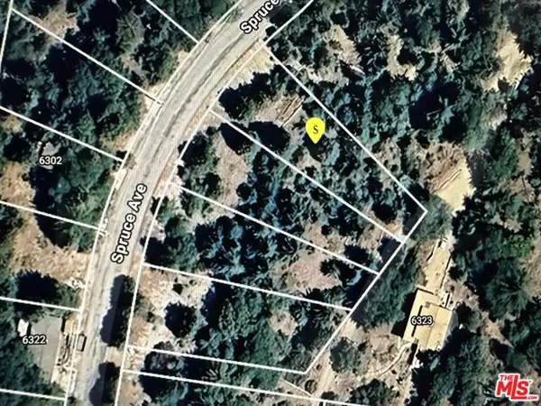 6287 Spruce Avenue, Angelus Oaks, CA 92305