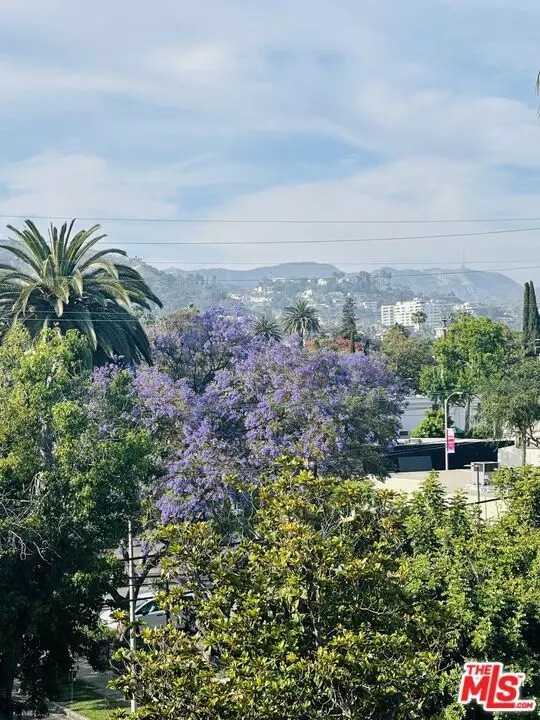West Hollywood, CA 90046,1041 N Spaulding Avenue #201