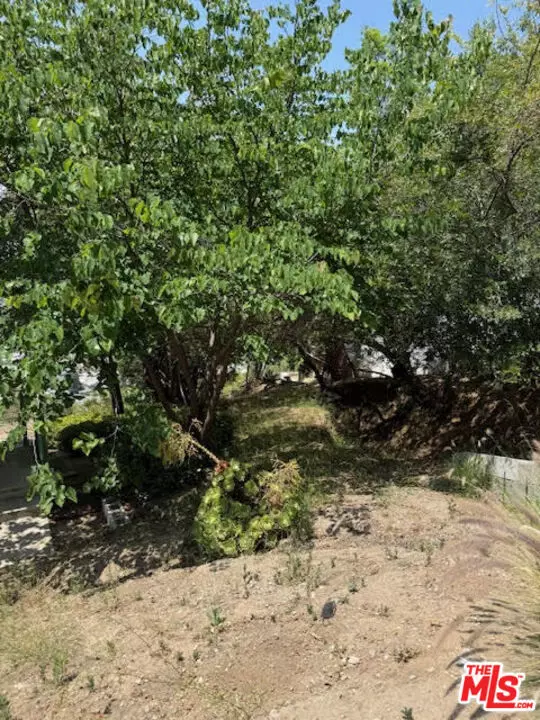 Los Angeles, CA 90065,0 West Avenue 37