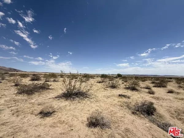 Joshua Tree, CA 92252,0 29 Palms Highway