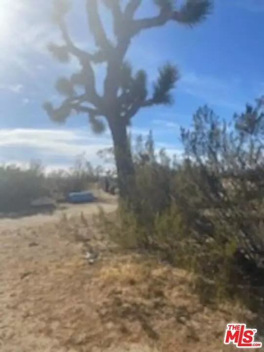 Rosamond, CA 93560,6000 W 140th Street West