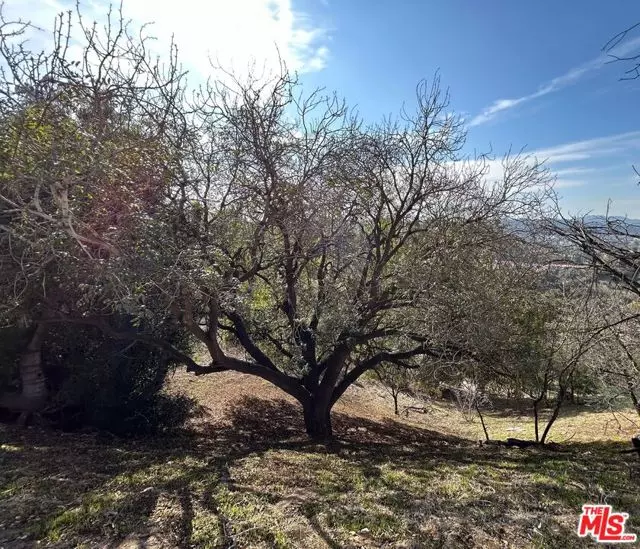 South Pasadena, CA 91030,0 Hanscom