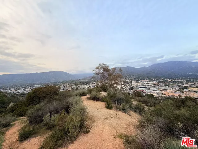 Tujunga (los Angeles), CA 91042,9739 N Estaban Way