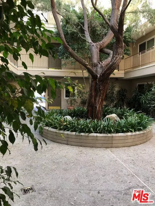 Los Angeles, CA 90025,1835 Camden Avenue #205