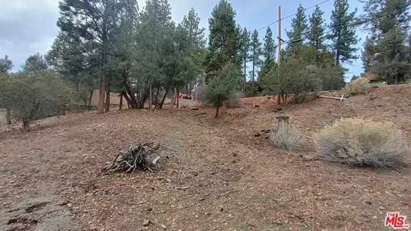 Big Bear City, CA 92314,384 Cinderella Drive