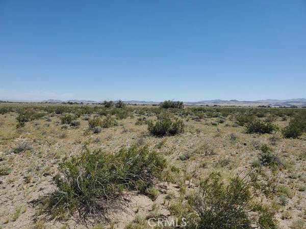 0 Autumn Leaf Road, Newberry Springs, CA 92365