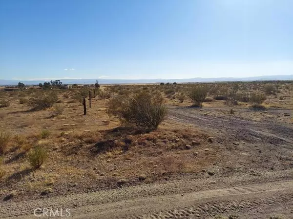 Rosamond, CA 93560,0 Felsite Road