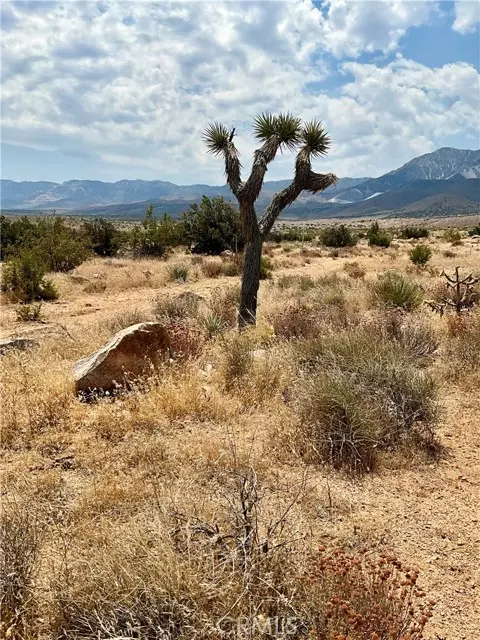 Lucerne Valley, CA 92356,0 Grandview Rd.