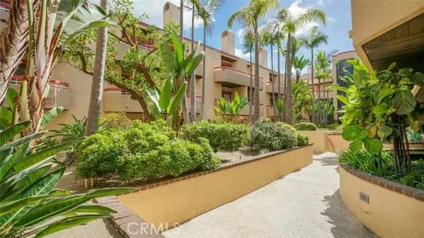 Torrance, CA 90502,941 W Carson Street #106