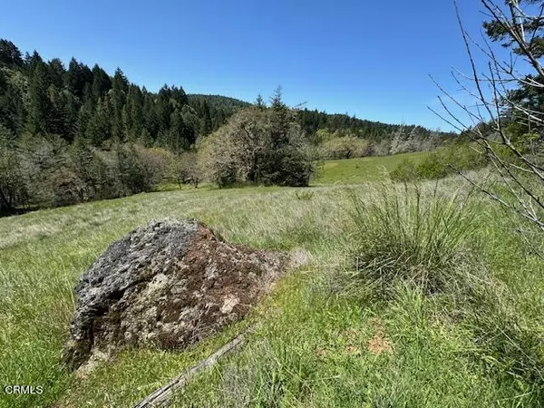 Willits, CA 95490,29300 Pinecrest Road