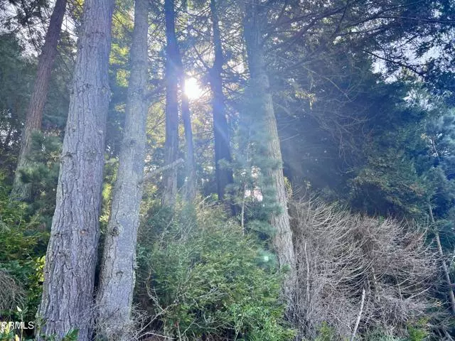 15301 Forest View Road, Manchester, CA 95459