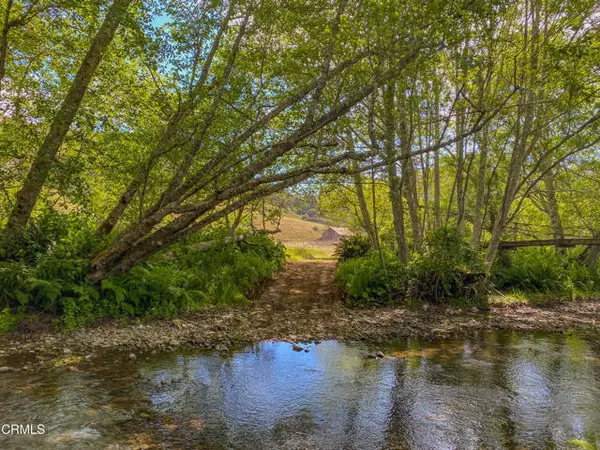 42000 Mountain View Road, Manchester, CA 95459