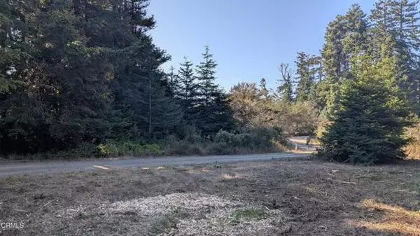 Albion, CA 95410,2901 Albion Ridge B Road