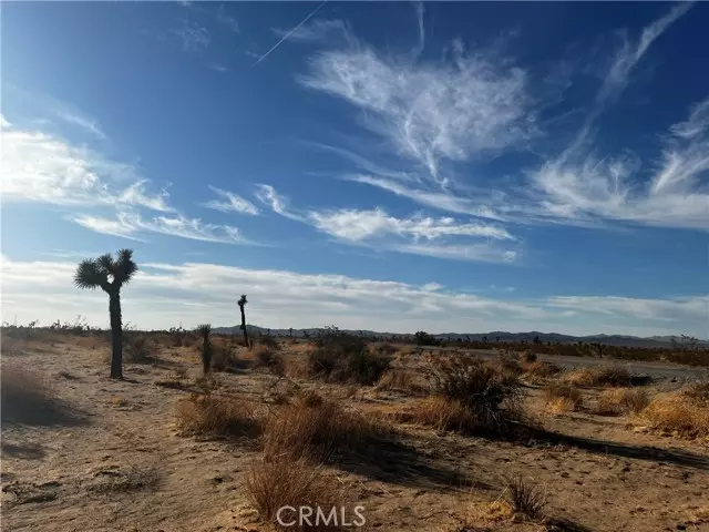 Adelanto, CA 92301,0 El Mirage Road