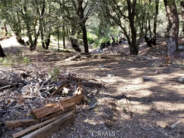 Cedarpines Park, CA 92322,1 Burnt Mill Canyon