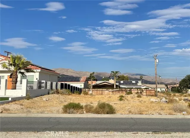 Desert Hot Springs, CA 92240,0 Cholla