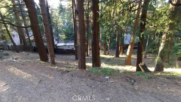 Crestline, CA 92325,0 Crest Forest Drive