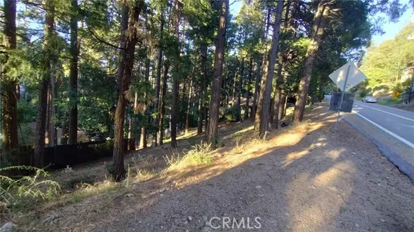 Crestline, CA 92325,0 Crest Forest Drive