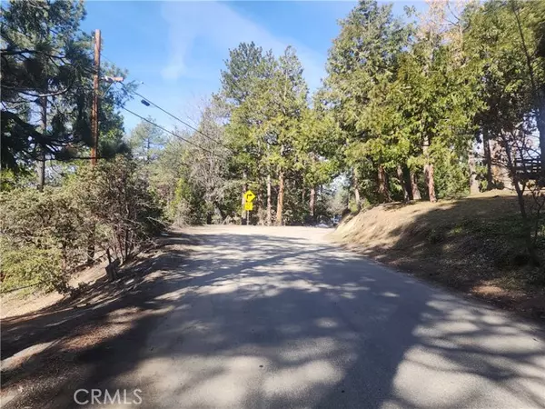 Idyllwild, CA 92549,52547 Pine Cove Road