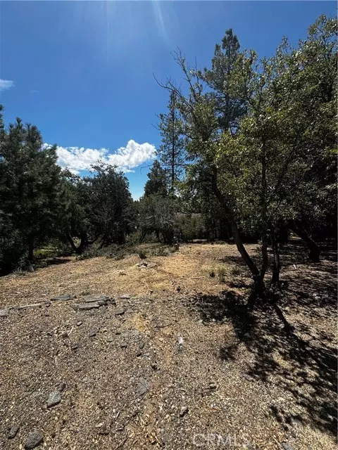 Idyllwild, CA 92561,0 Valley View Dr.