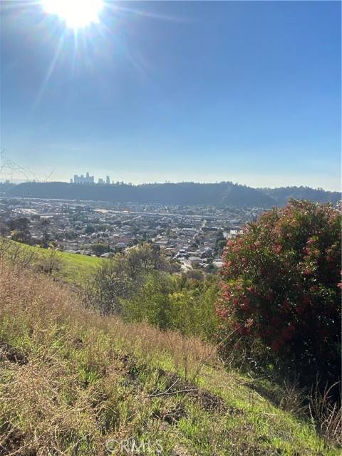 Los Angeles, CA 90065,280 Grand View Terrace