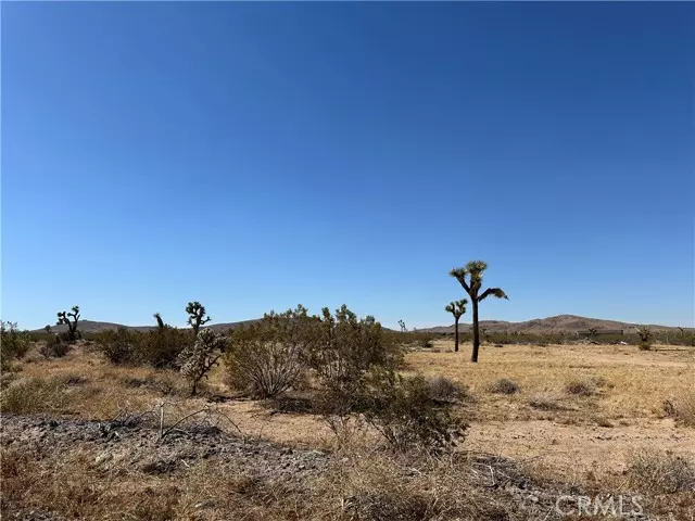 Joshua Tree, CA 92252,0 Aberdeen Drive